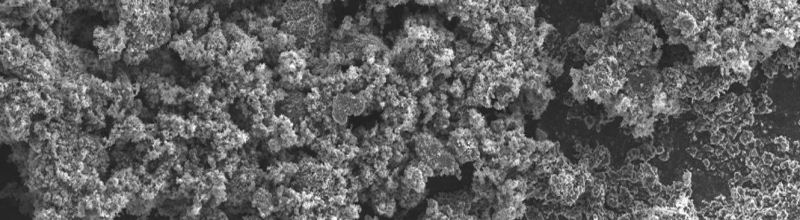 polymer nanocomposites